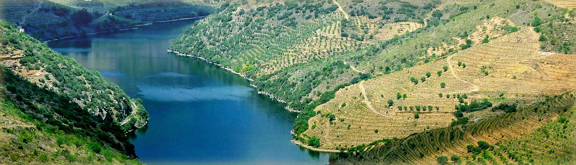 Banner Banner 5 - MEDIDA: 1920 X 550 pixéis